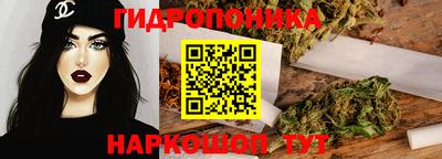 spice Гай