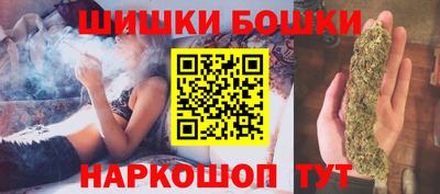 spice Гай